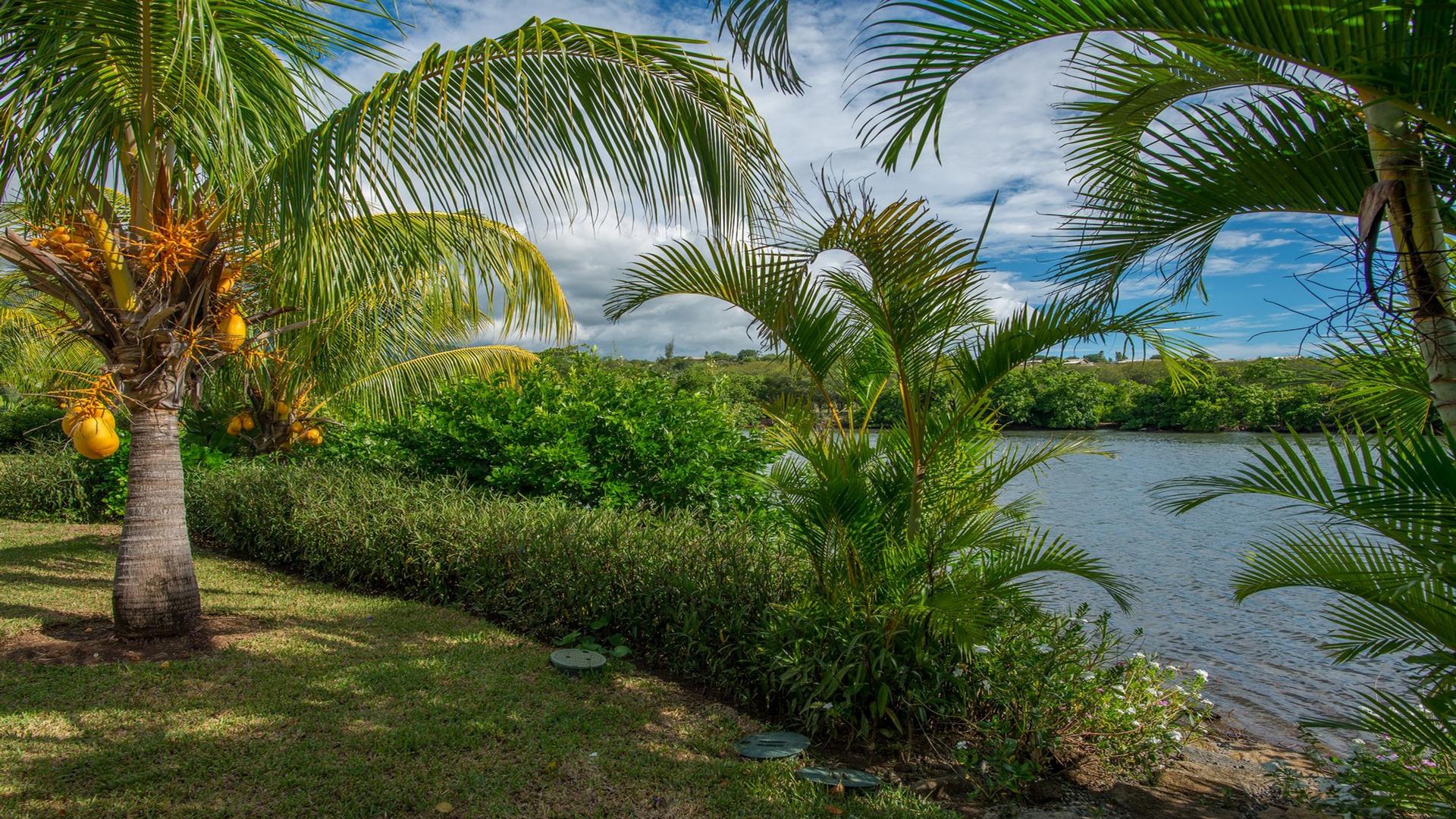 Black River Bank — 27