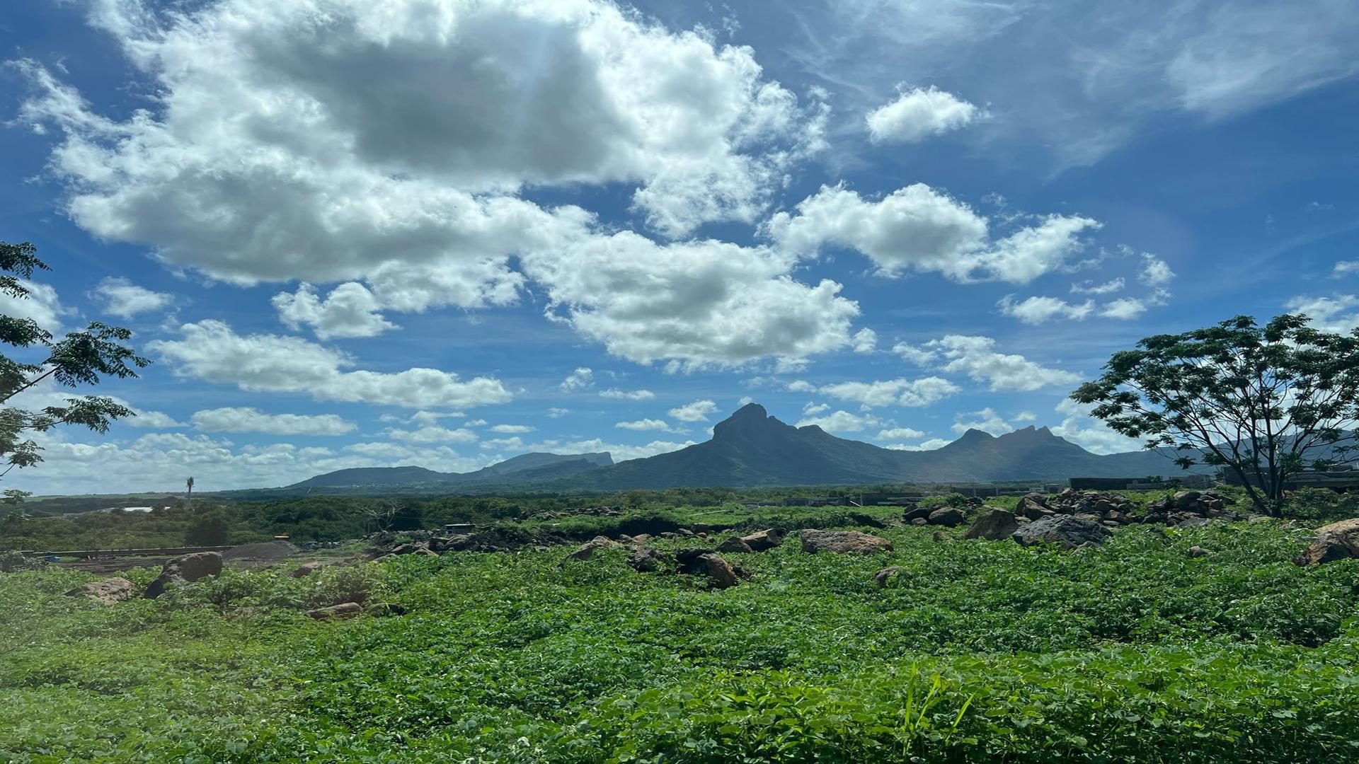 Mountain Magnificence - Stella Maris — 6