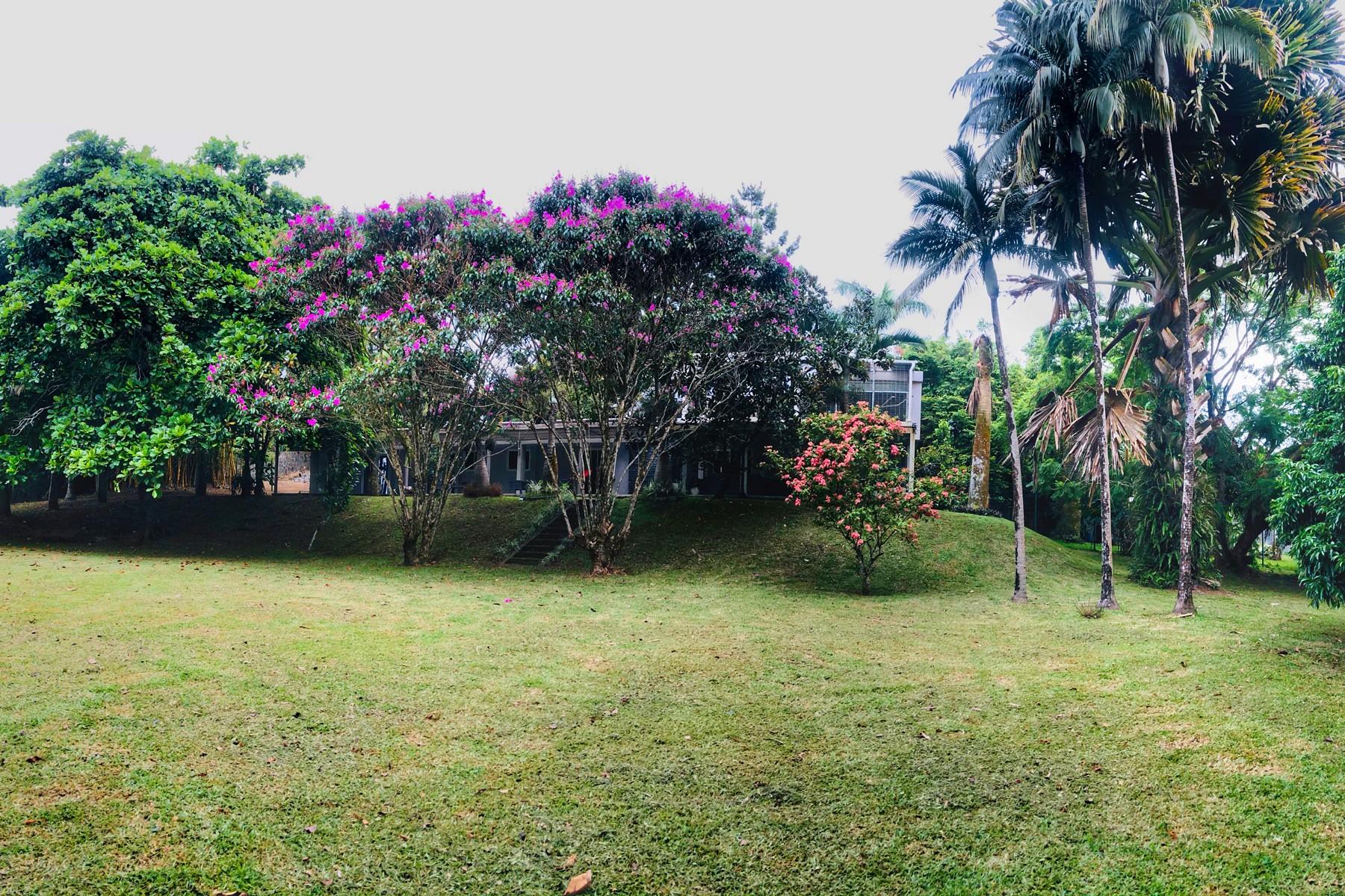 Splendour in the garden — 13
