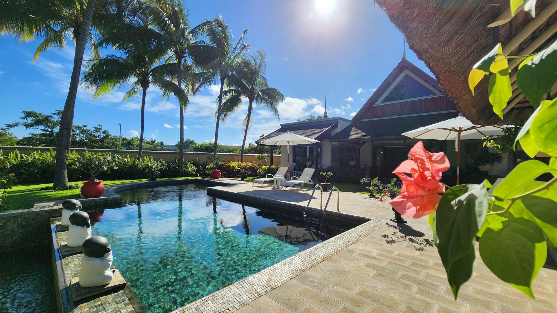 The Mauritian Sanctuary  — 17