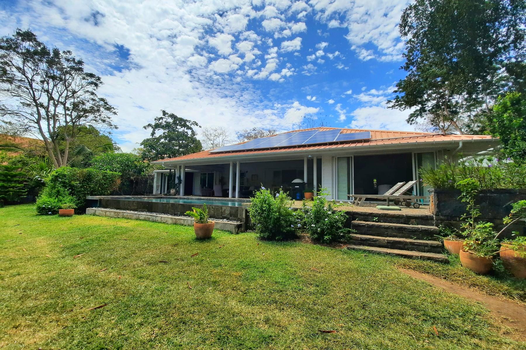 The Green House — 31