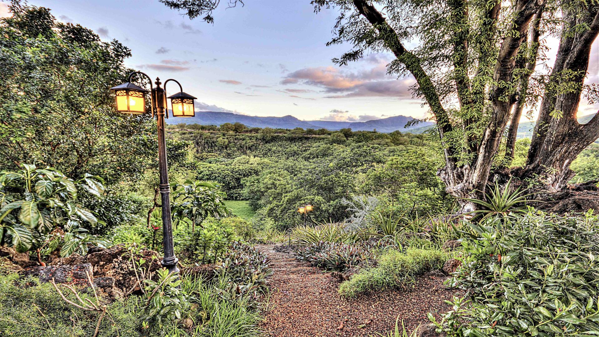 Villa Splendour - Tamarina  — 35