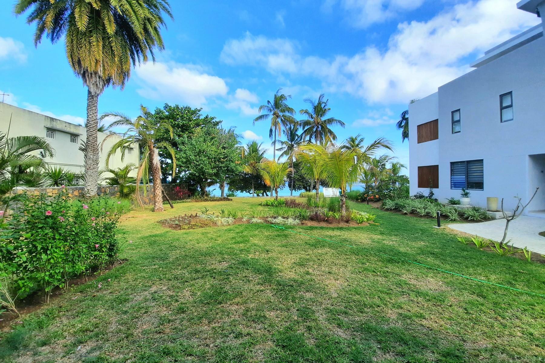 Coral Beach — 29