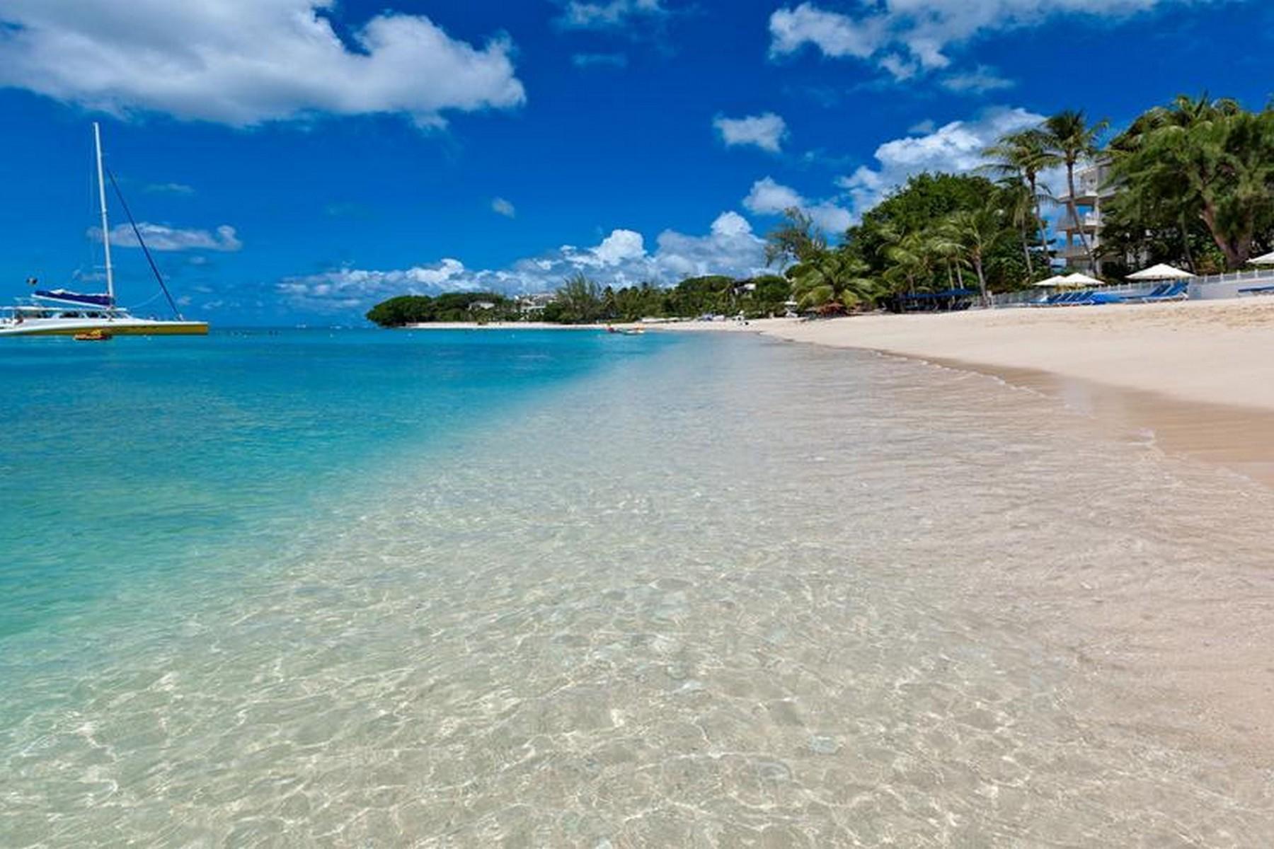 Chic Elegance  — 9