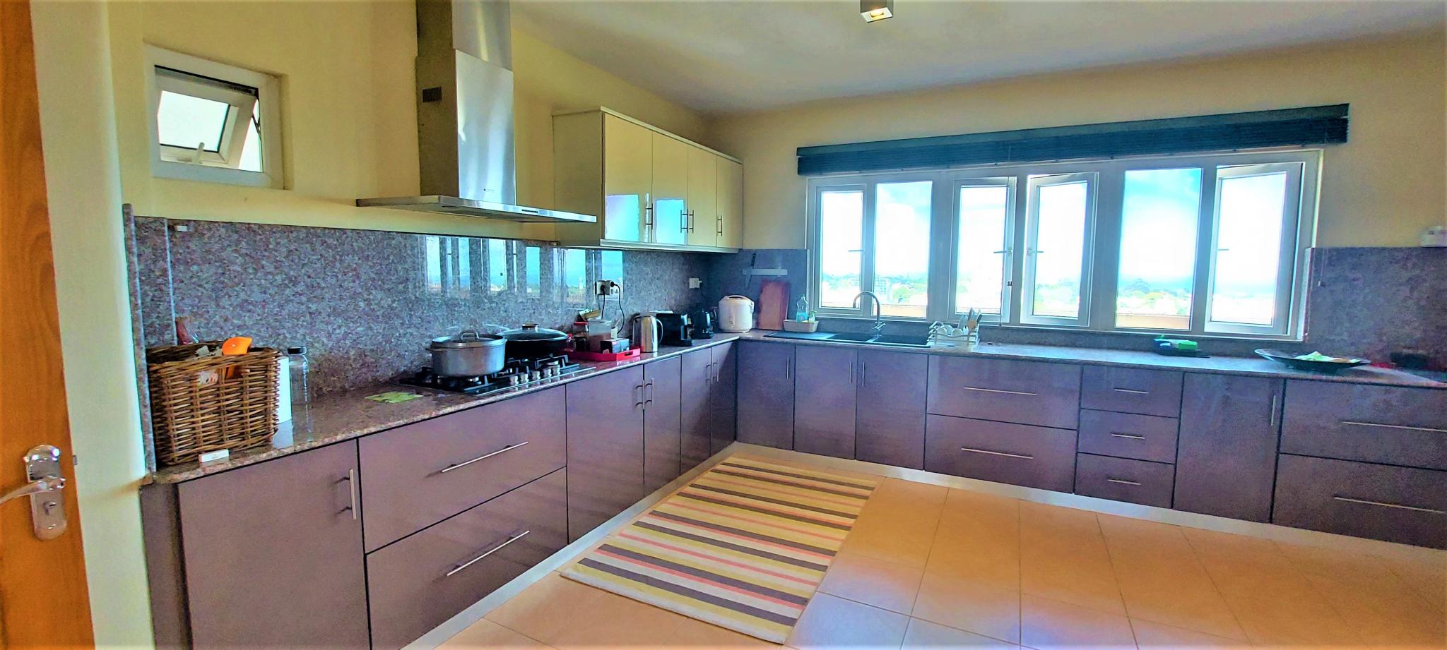 Elegancia Penthouse — 11