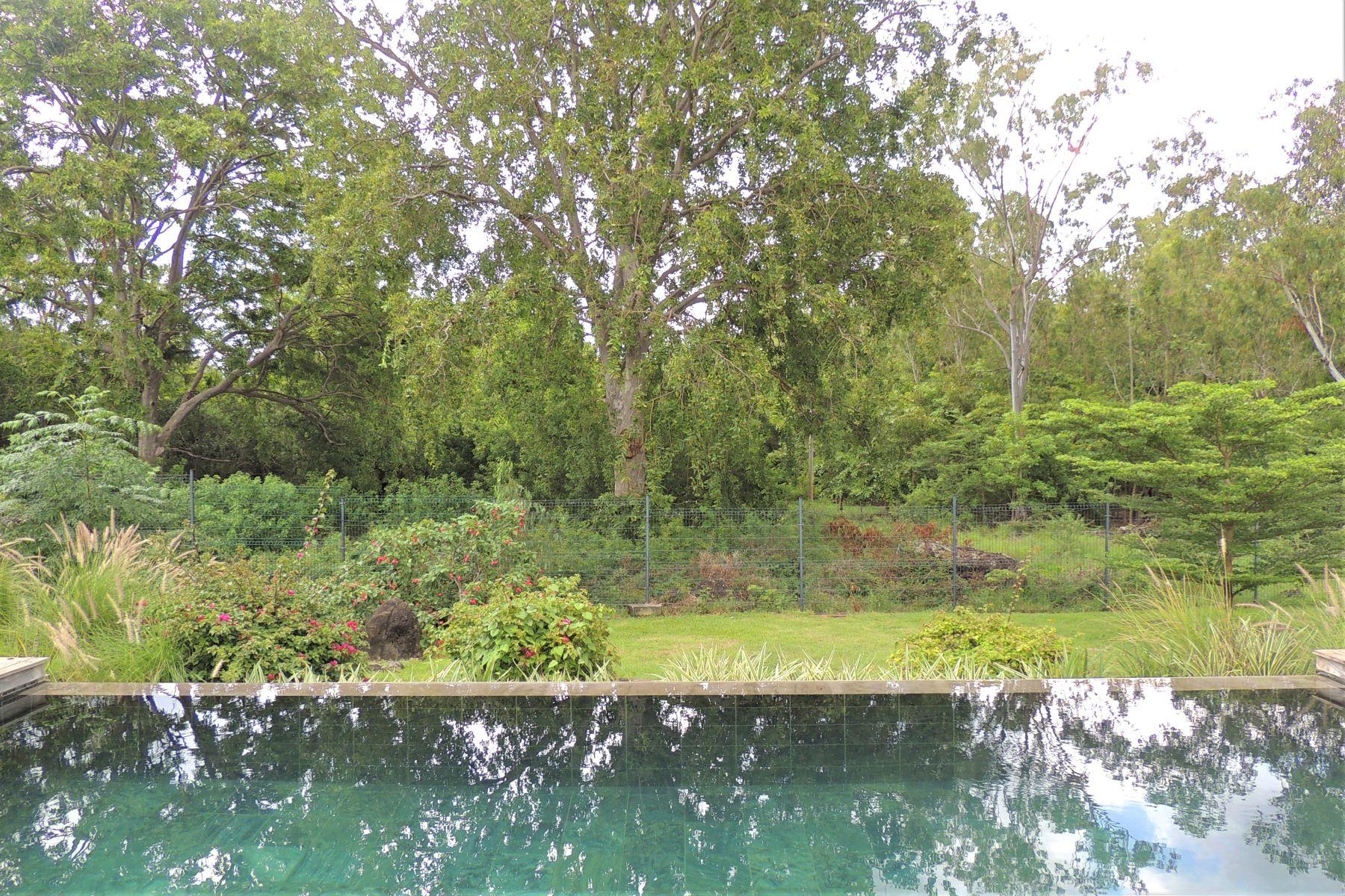 Active only on Dash - La Champagna Villa — 22
