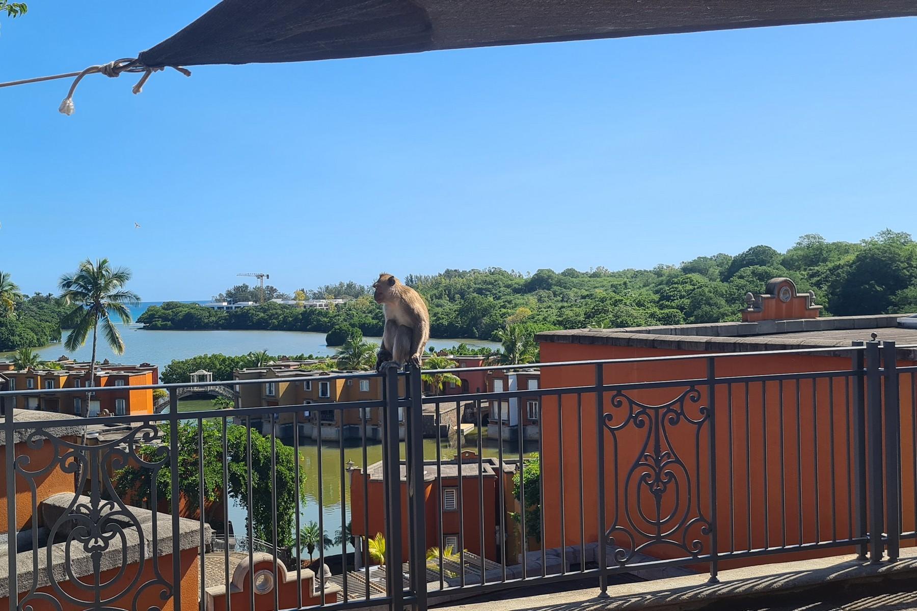 Residences Espagna — 8