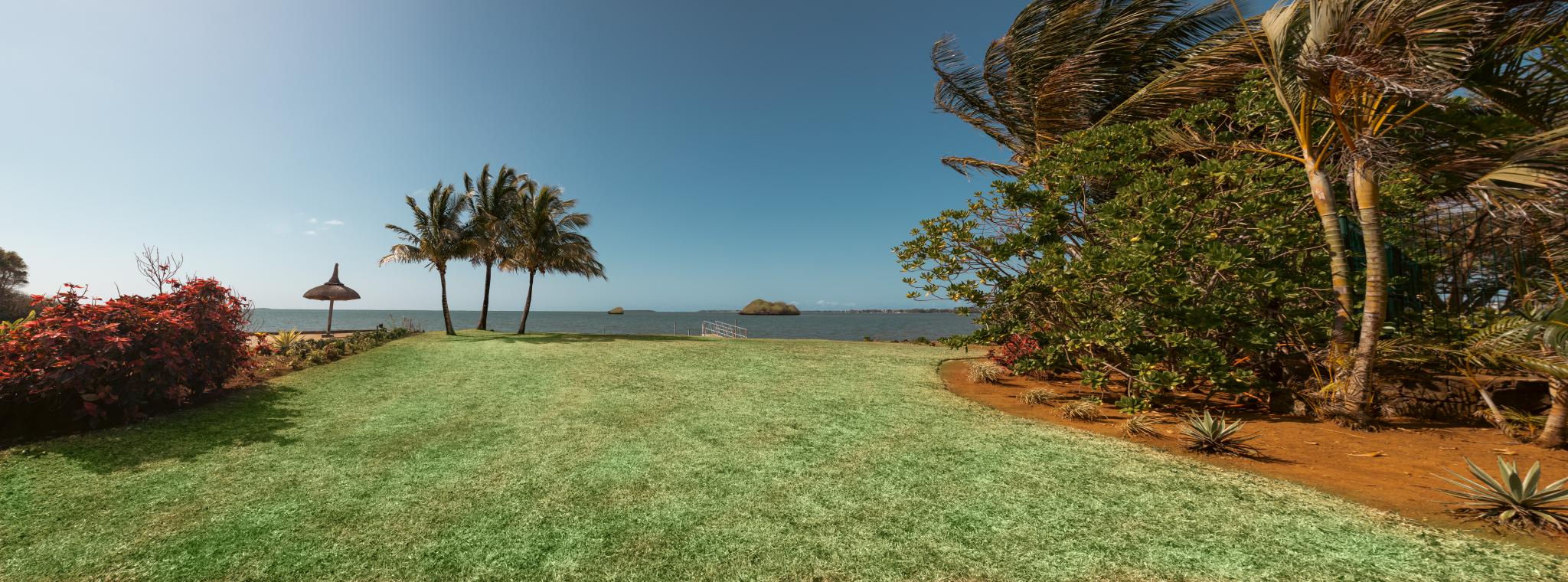 The Shoreline — 18