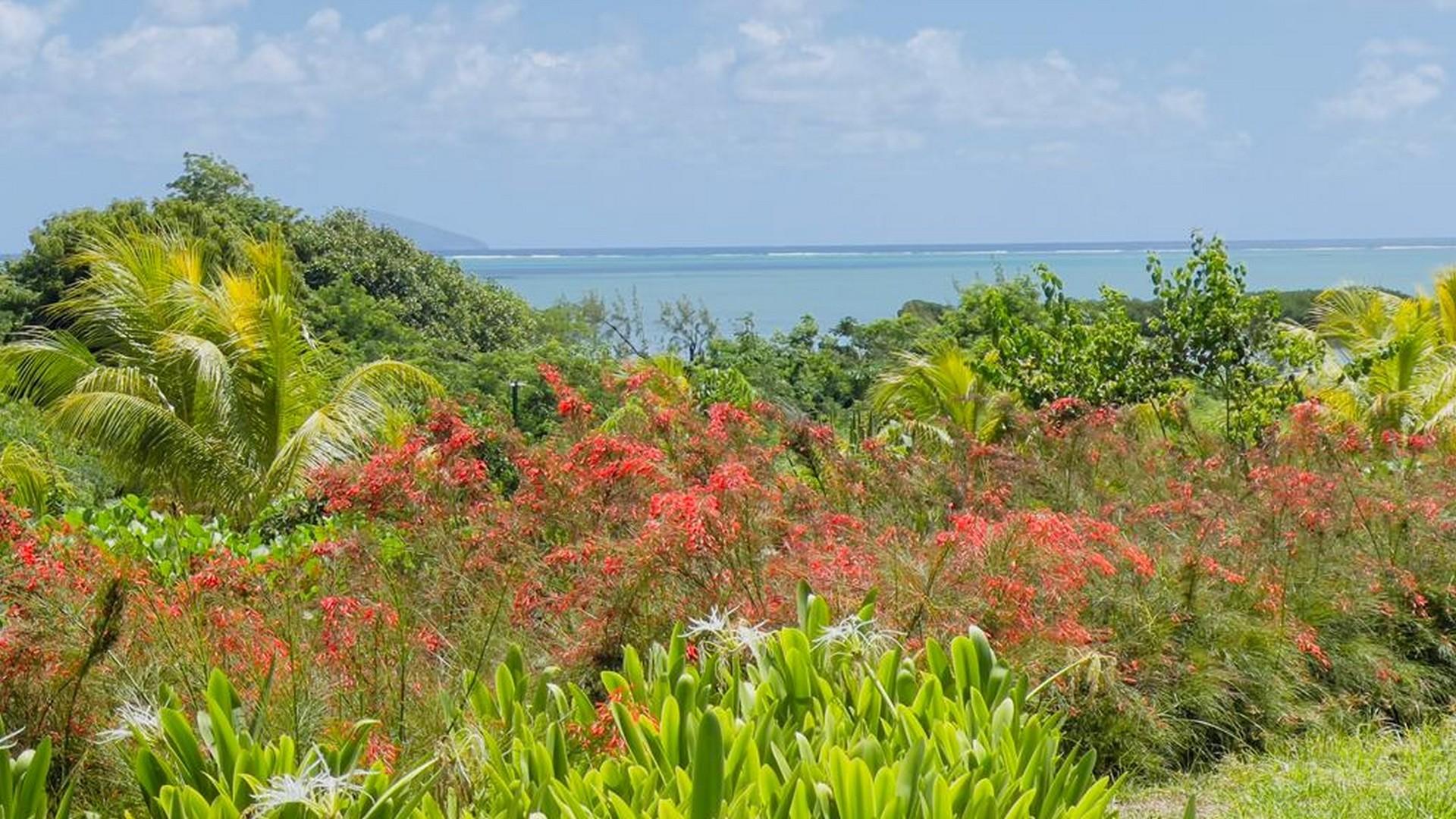 Grace Bay — 19