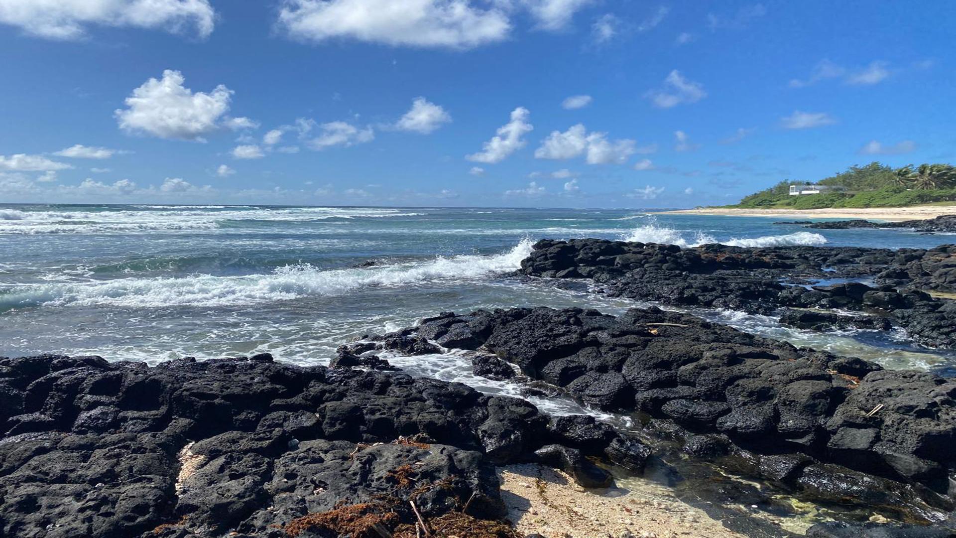 Ocean Mystery  — 9