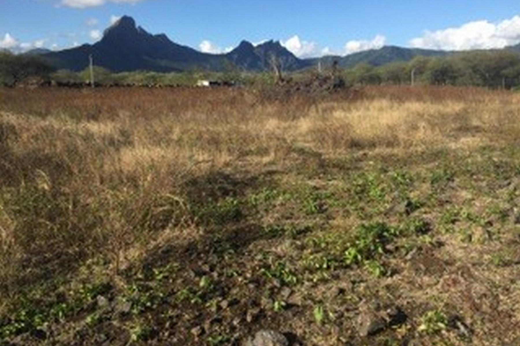 Half An Acre — 4