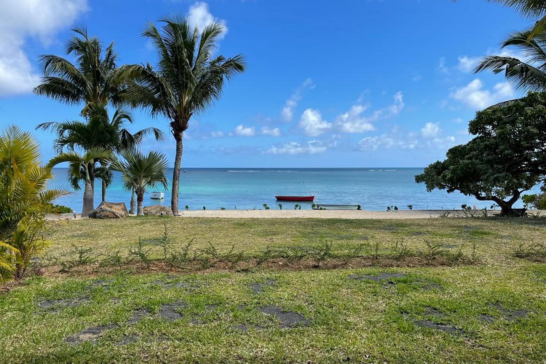 Tropical Landscape  — 17