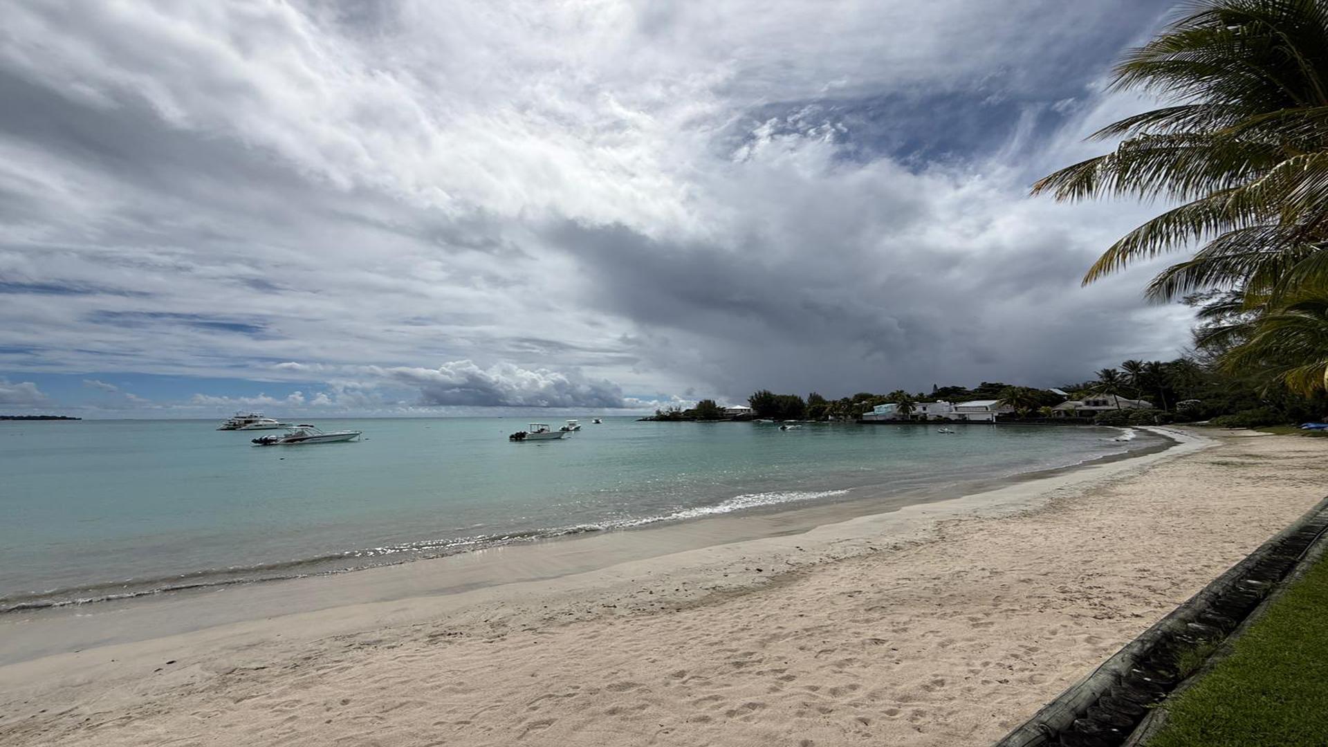 The Palmview — 15