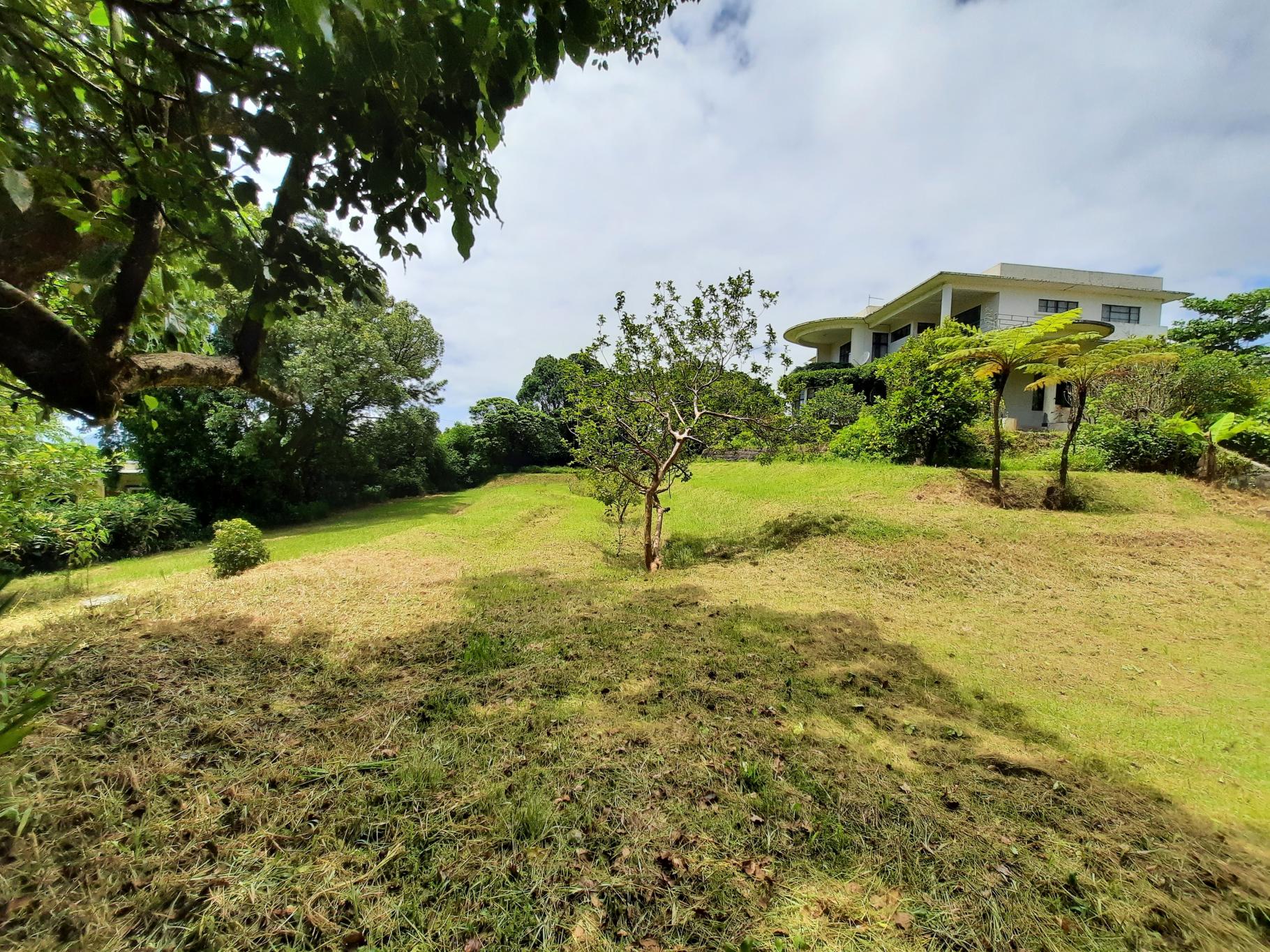 Hilltop House — 8