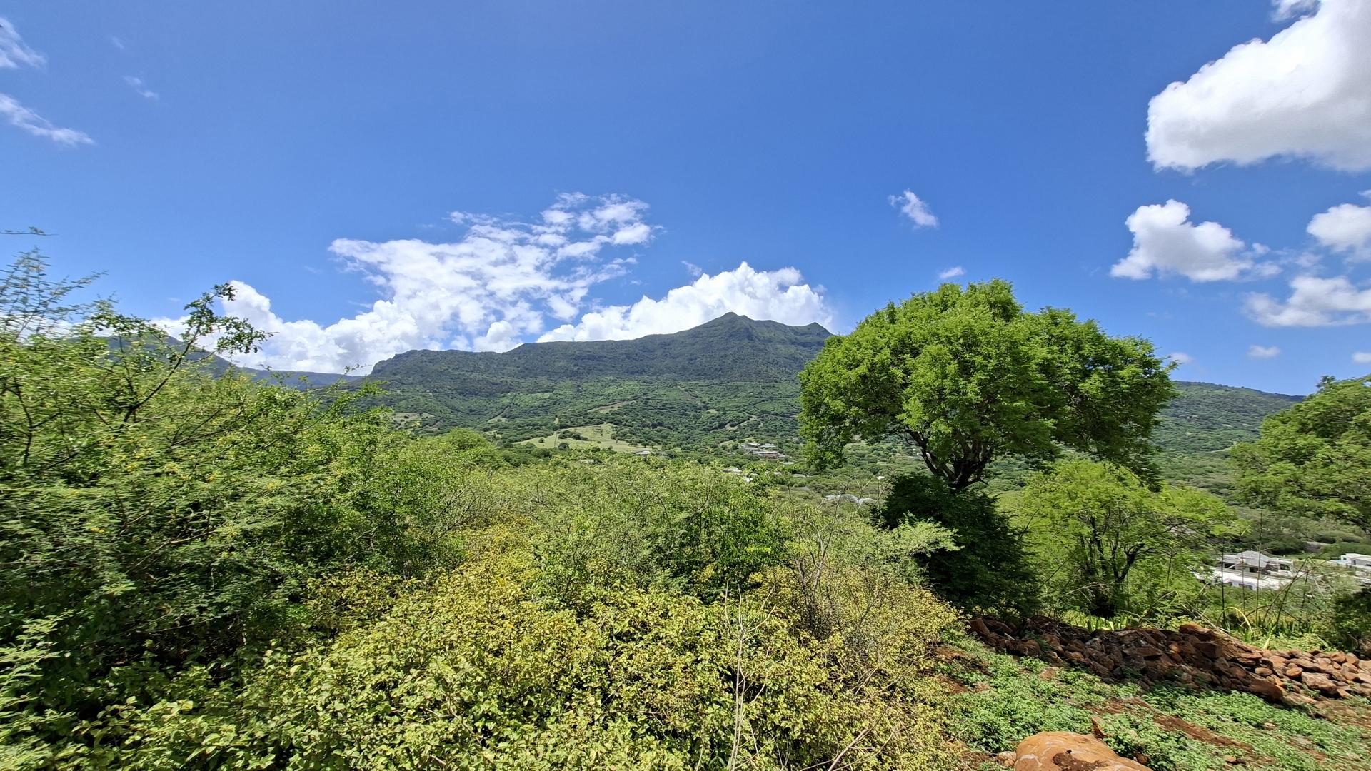 Palmyre Vista — 21