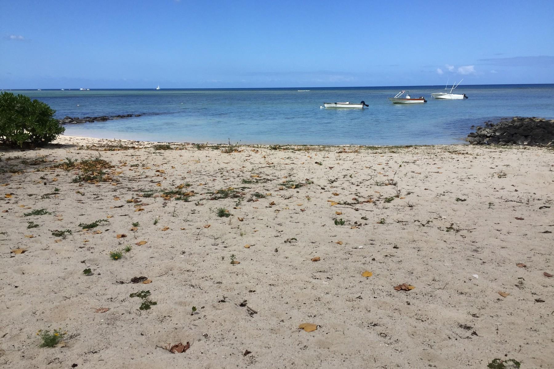 Coral Beach — 33