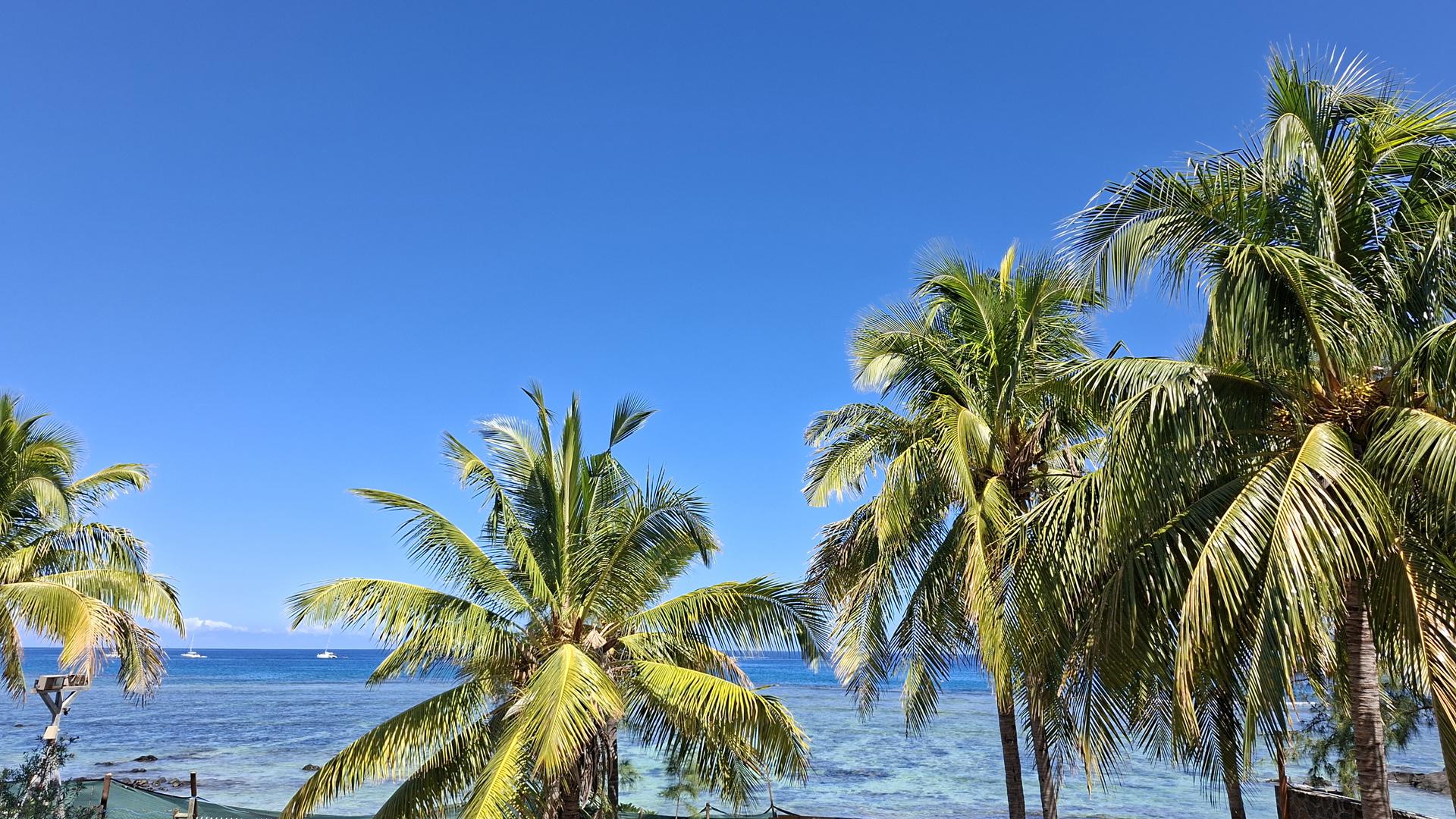 Beachfront Collection — 10
