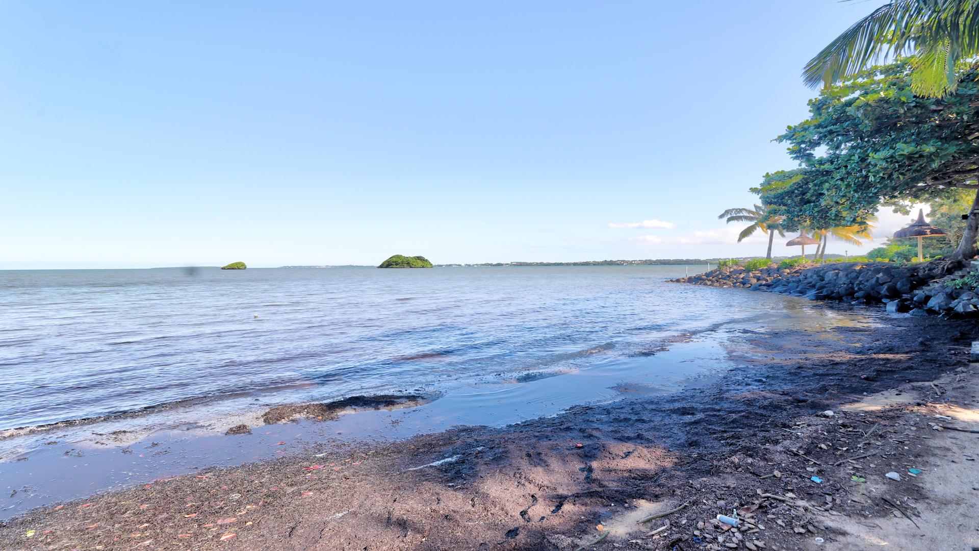 Isla Living — 4