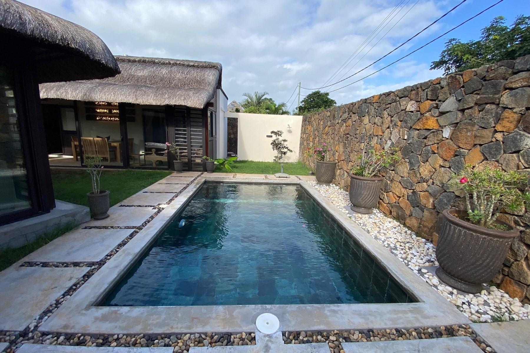 In the Tropics — 27