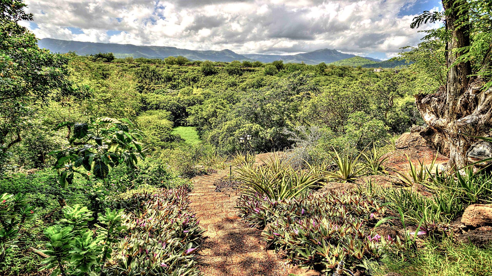 Villa Splendour - Tamarina  — 39