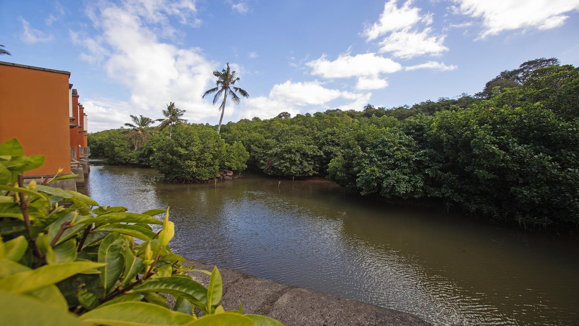 Riviera Cove — 23