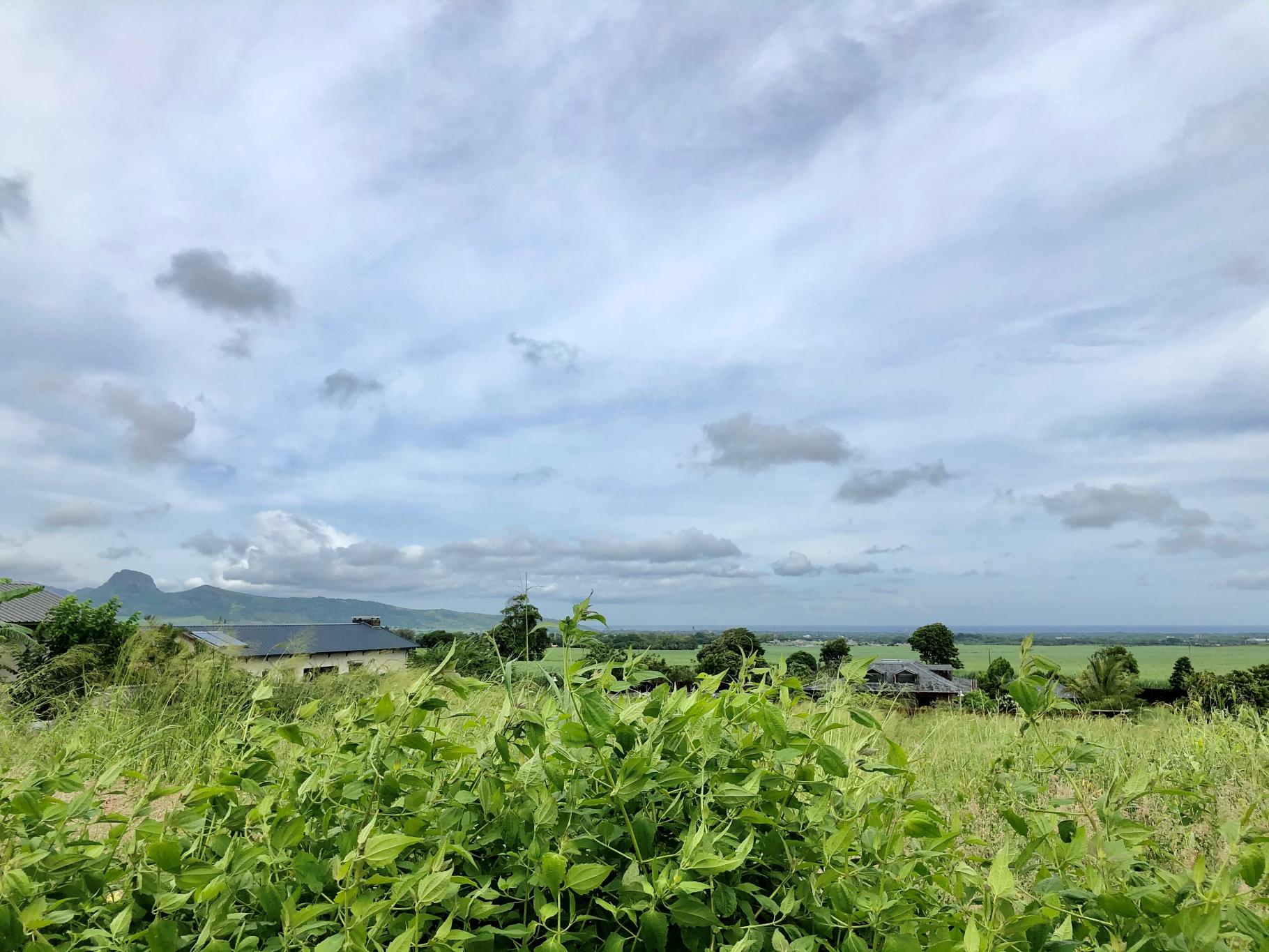 Mont Piton Plot 23 — 3