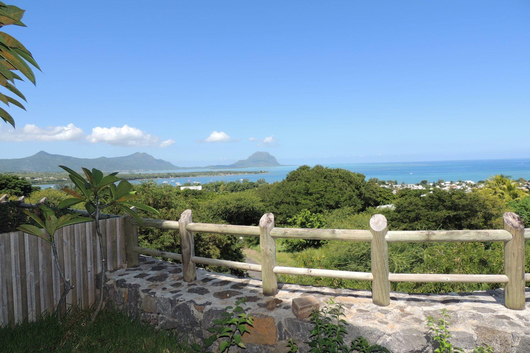 Splendid Views — 2