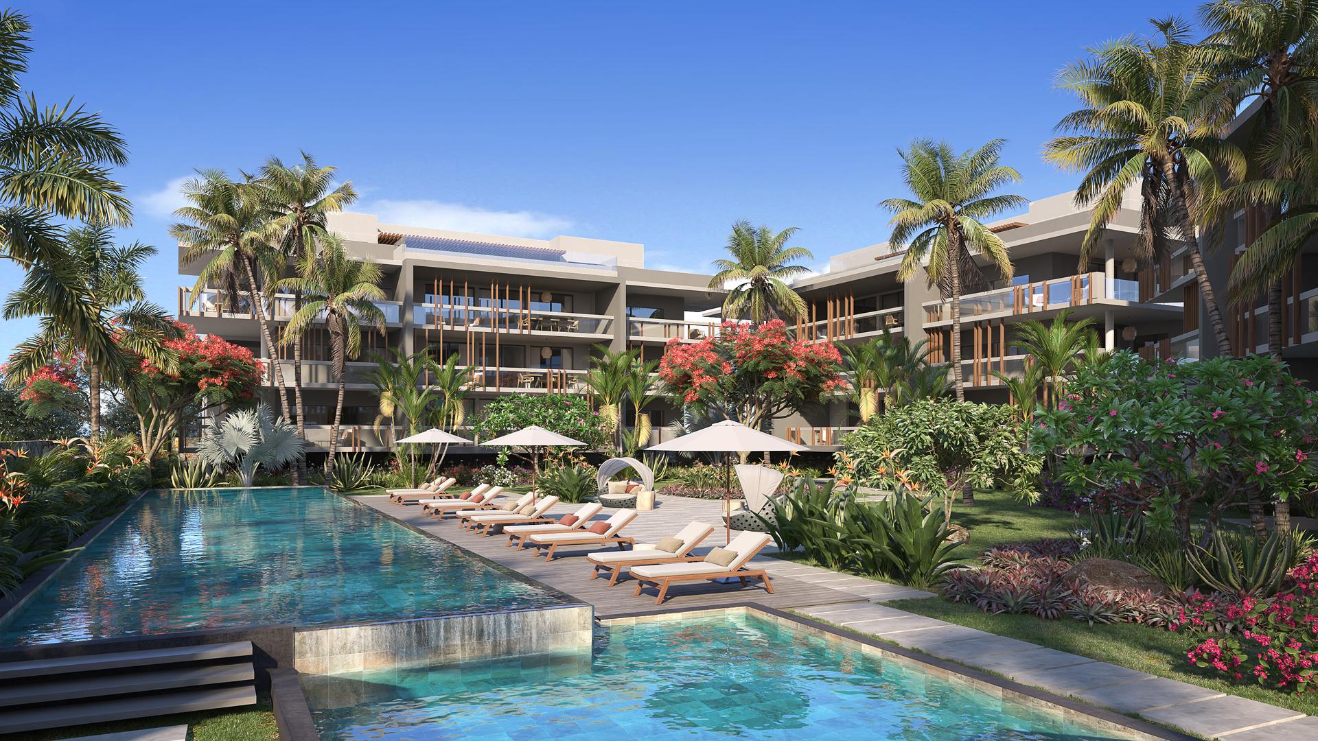 Coconut Luxury