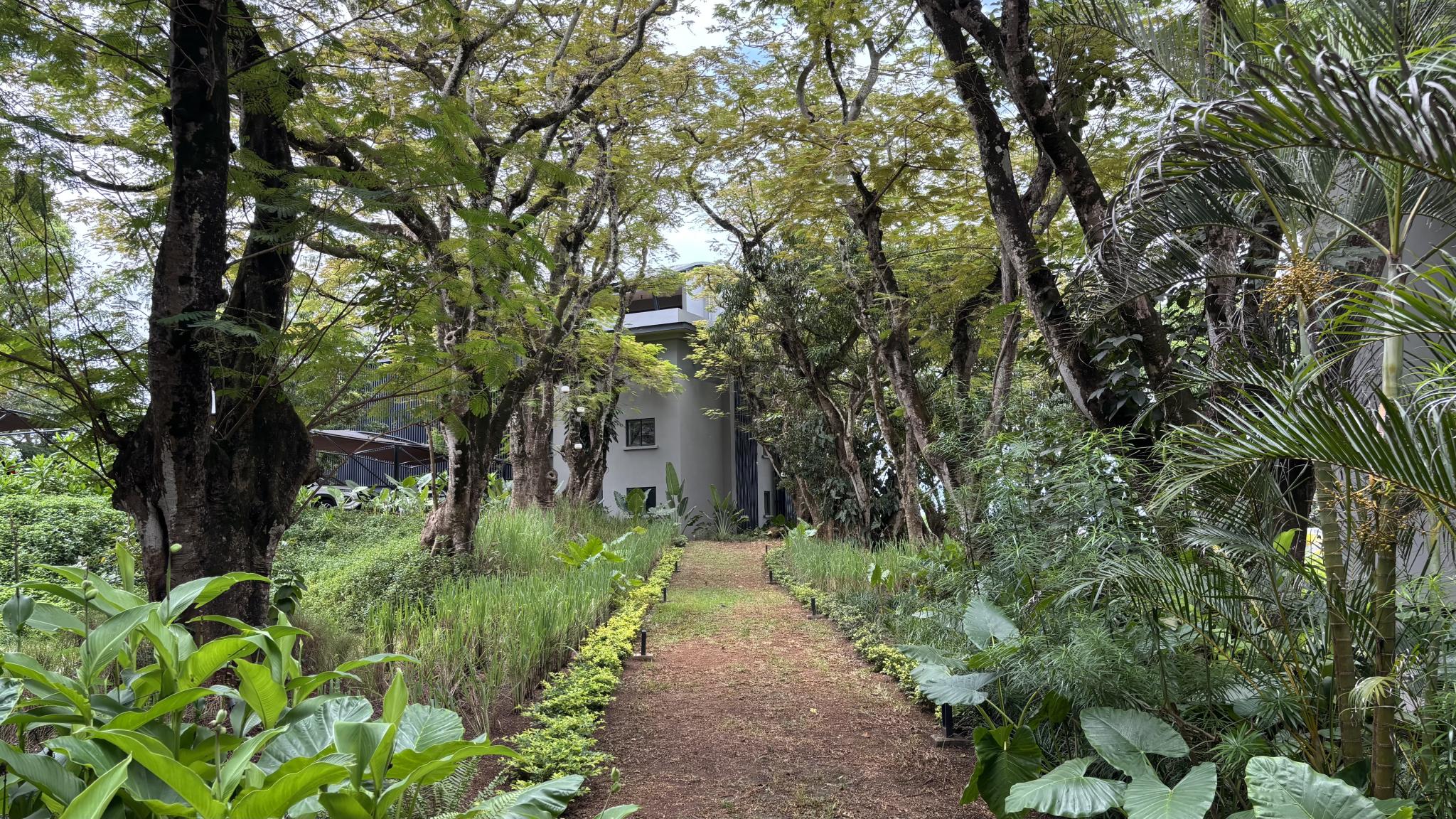 Woodland Apartment — 3
