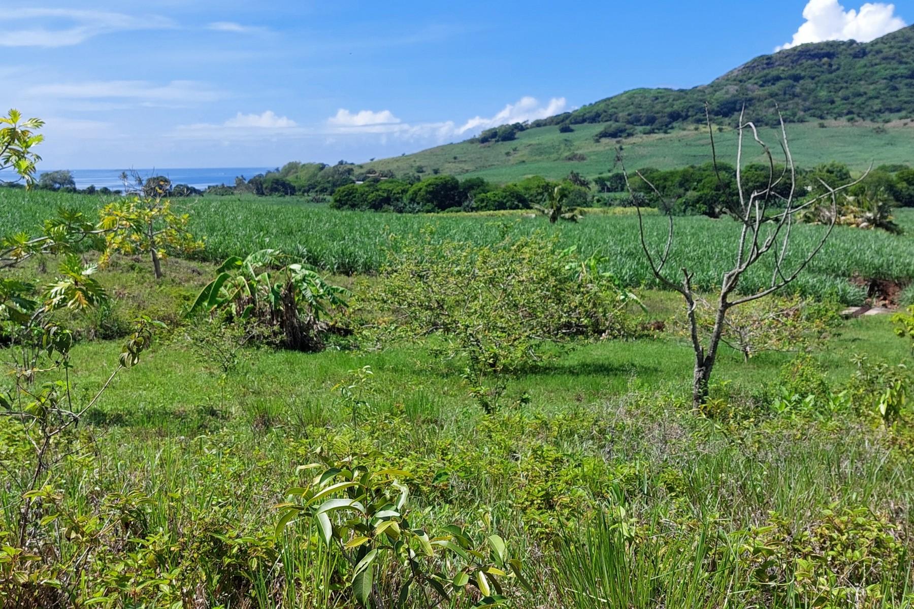 Rêve D'Anse — 3