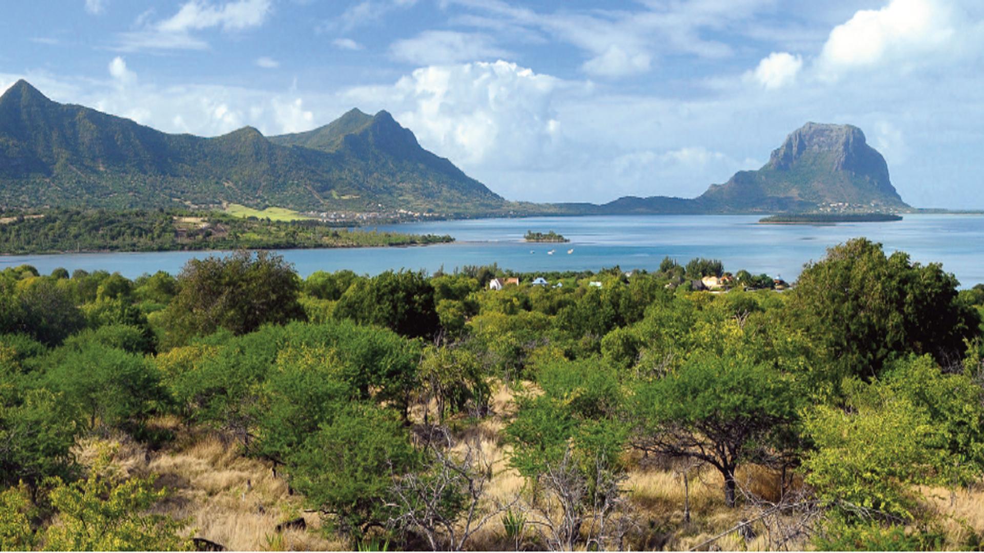 Harmonie Golf & Beach Estate- Villa 1 — 2