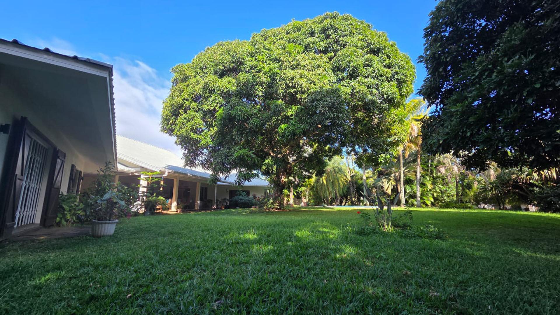 Villa Tamaka — 10