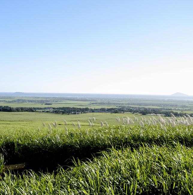Mont Piton Plot 23 — 6