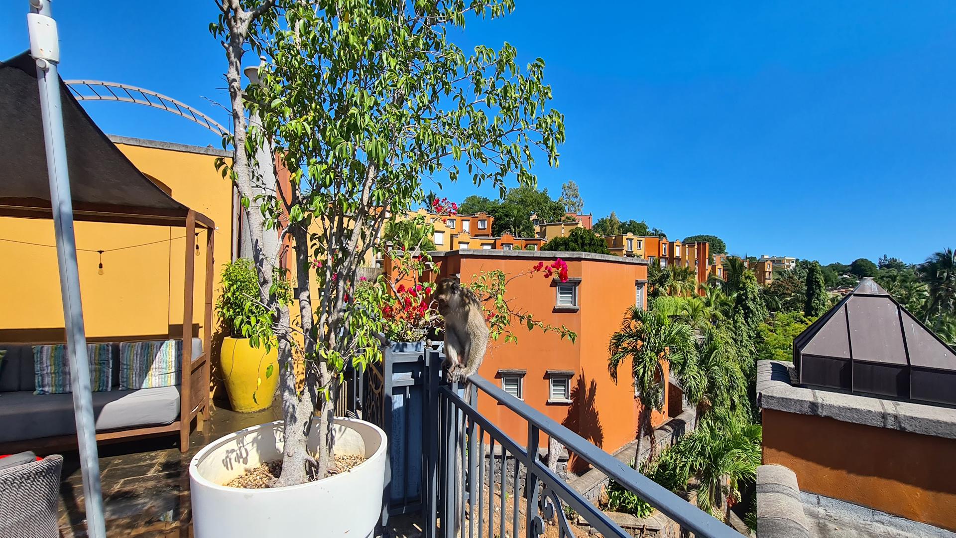 Encantadora Rental — 17