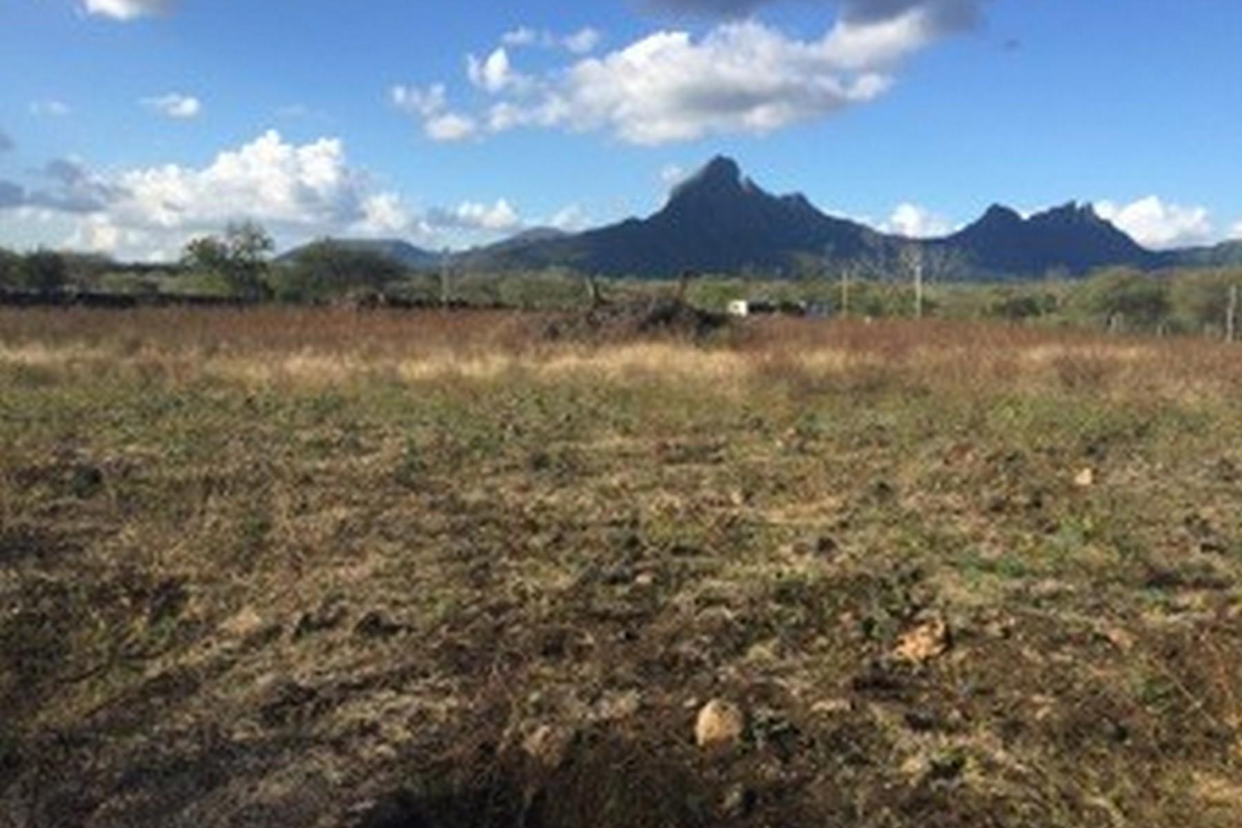 Half An Acre — 3