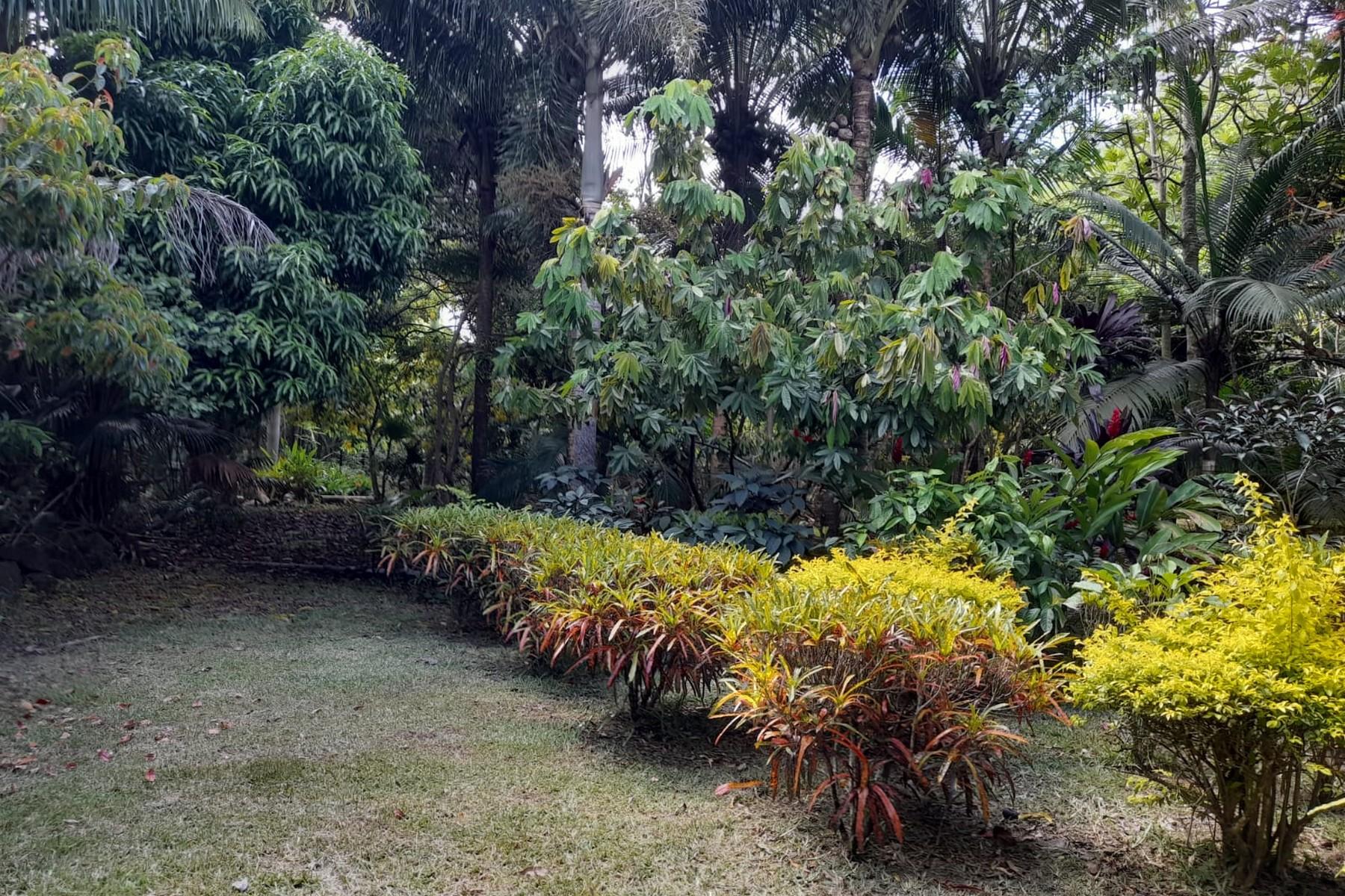 Nature Lover — 7
