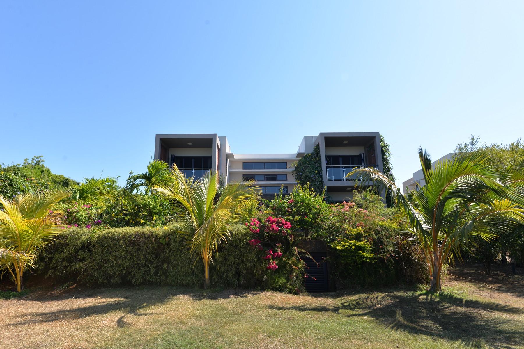 Villa Nido — 10