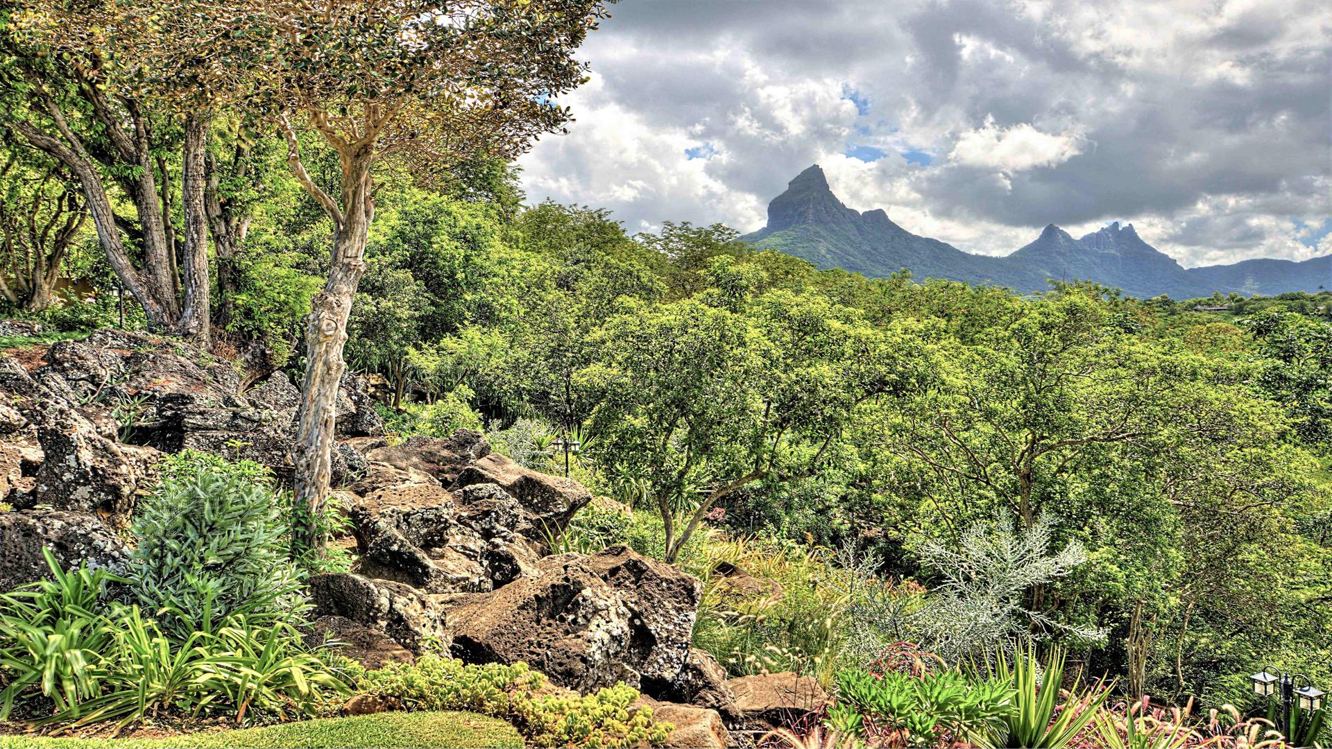 Villa Splendour - Tamarina  — 25