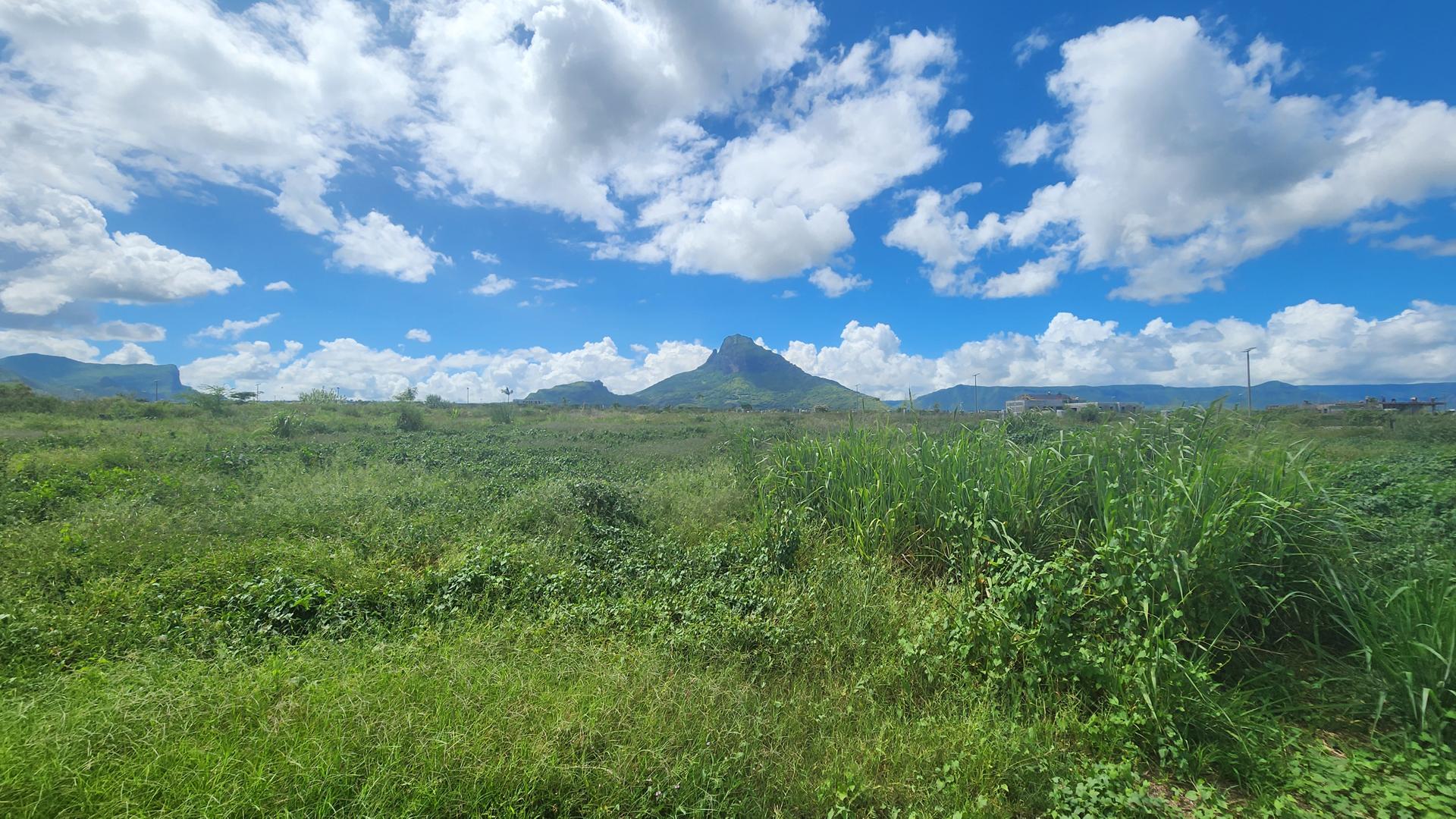 Magenta Ridge — 2