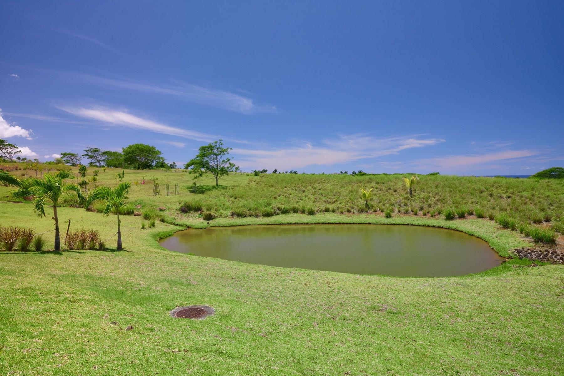 L.A Villa, Heritage Villas Valriche — 30