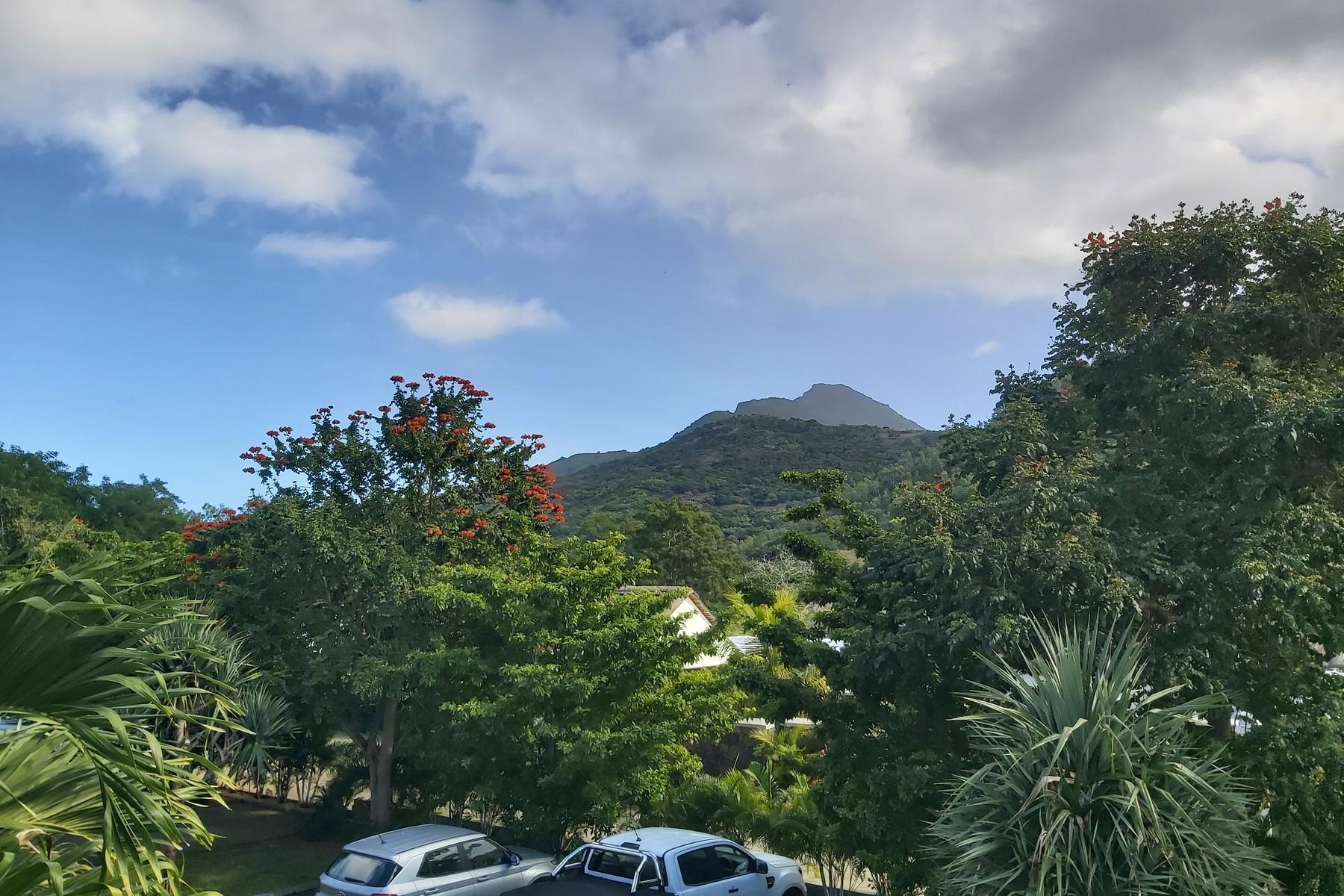 Tropical Tranquility  — 28