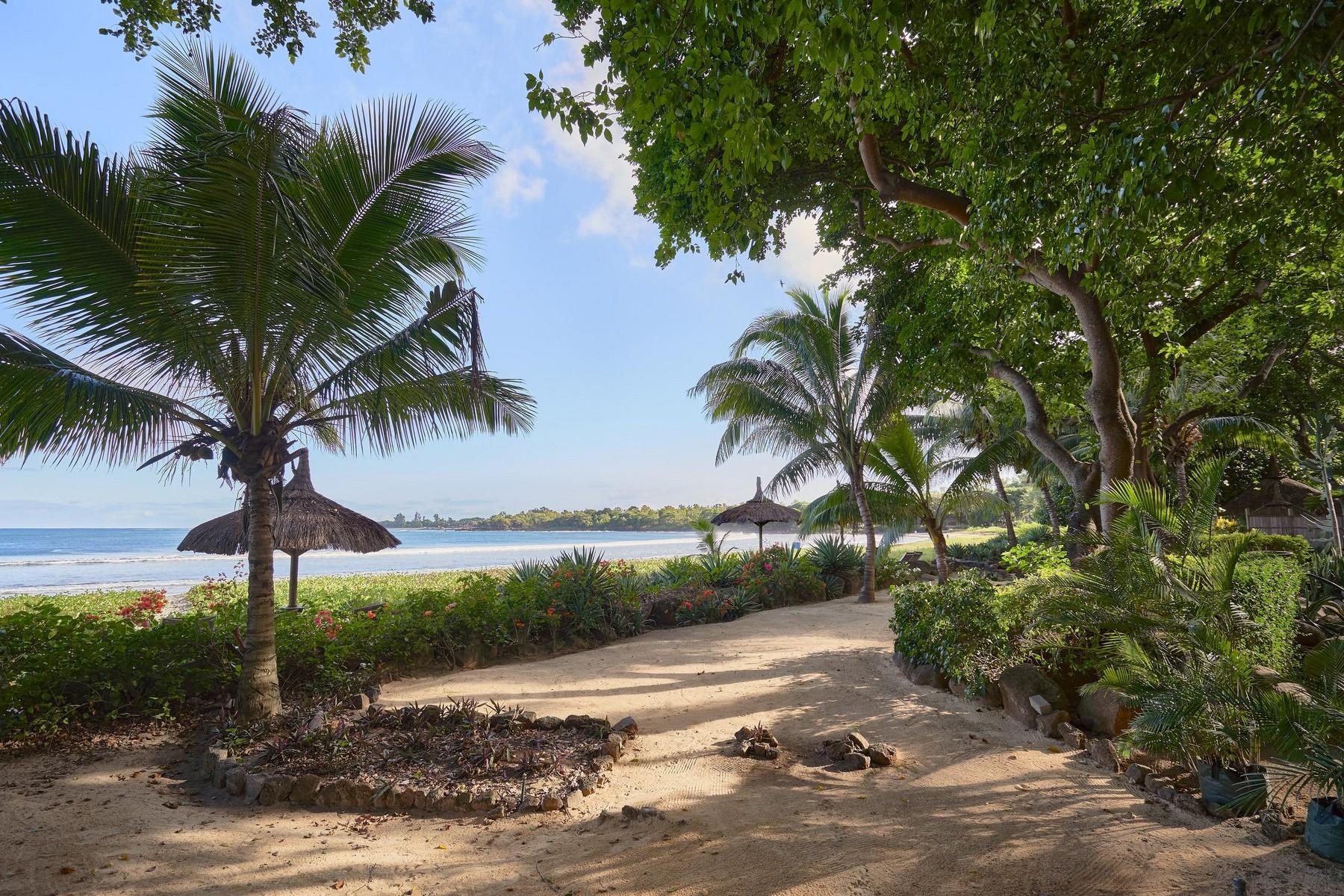Island Escape — 15