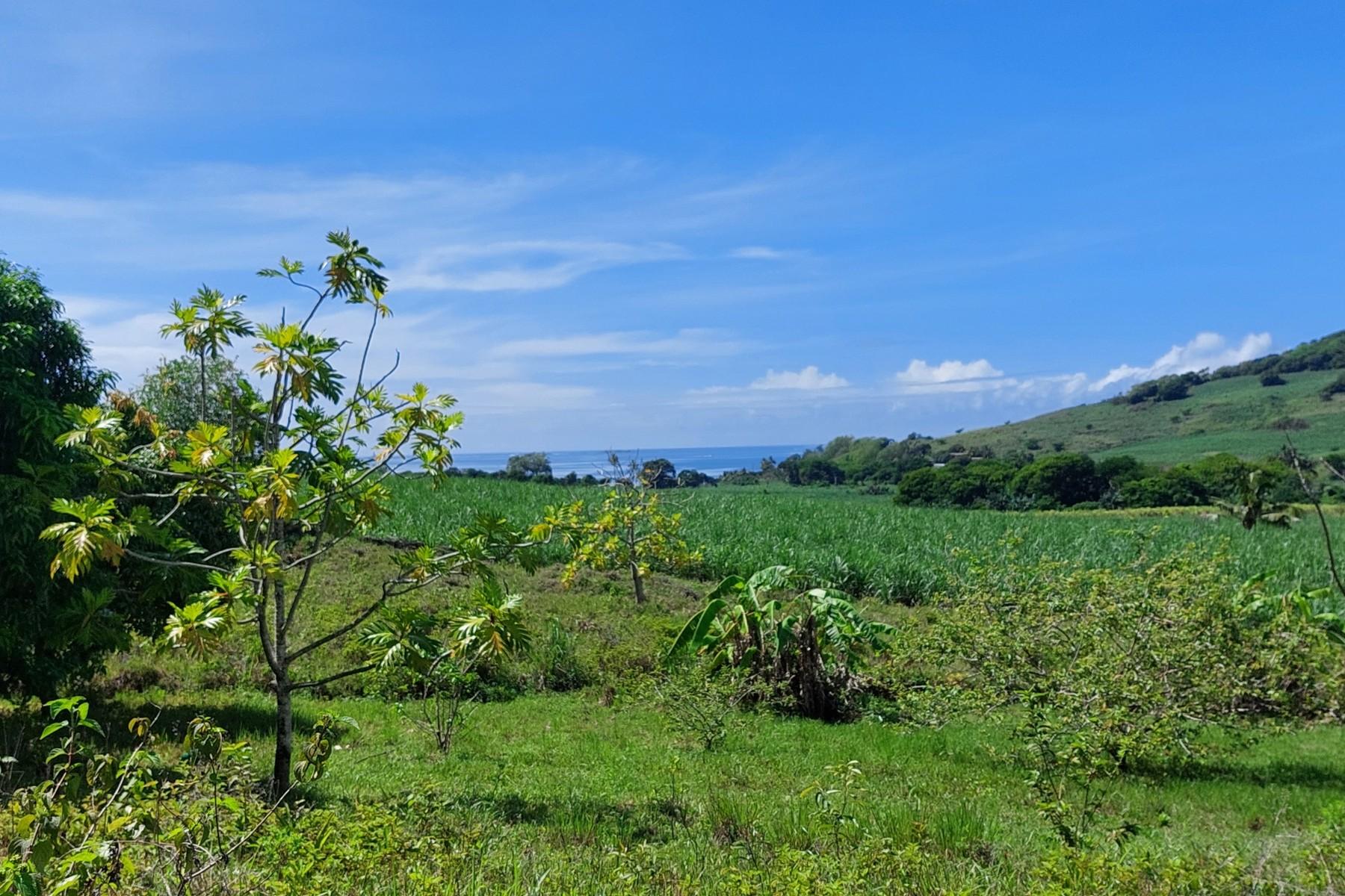 Rêve D'Anse — 2