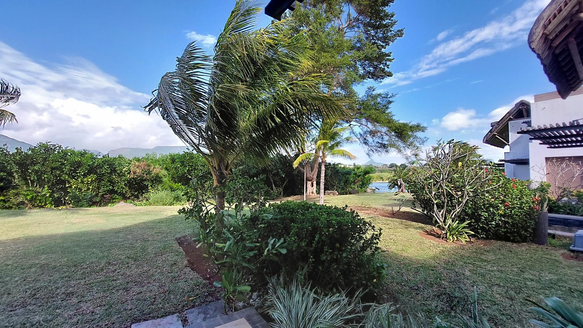 Tropical Landscape — 16