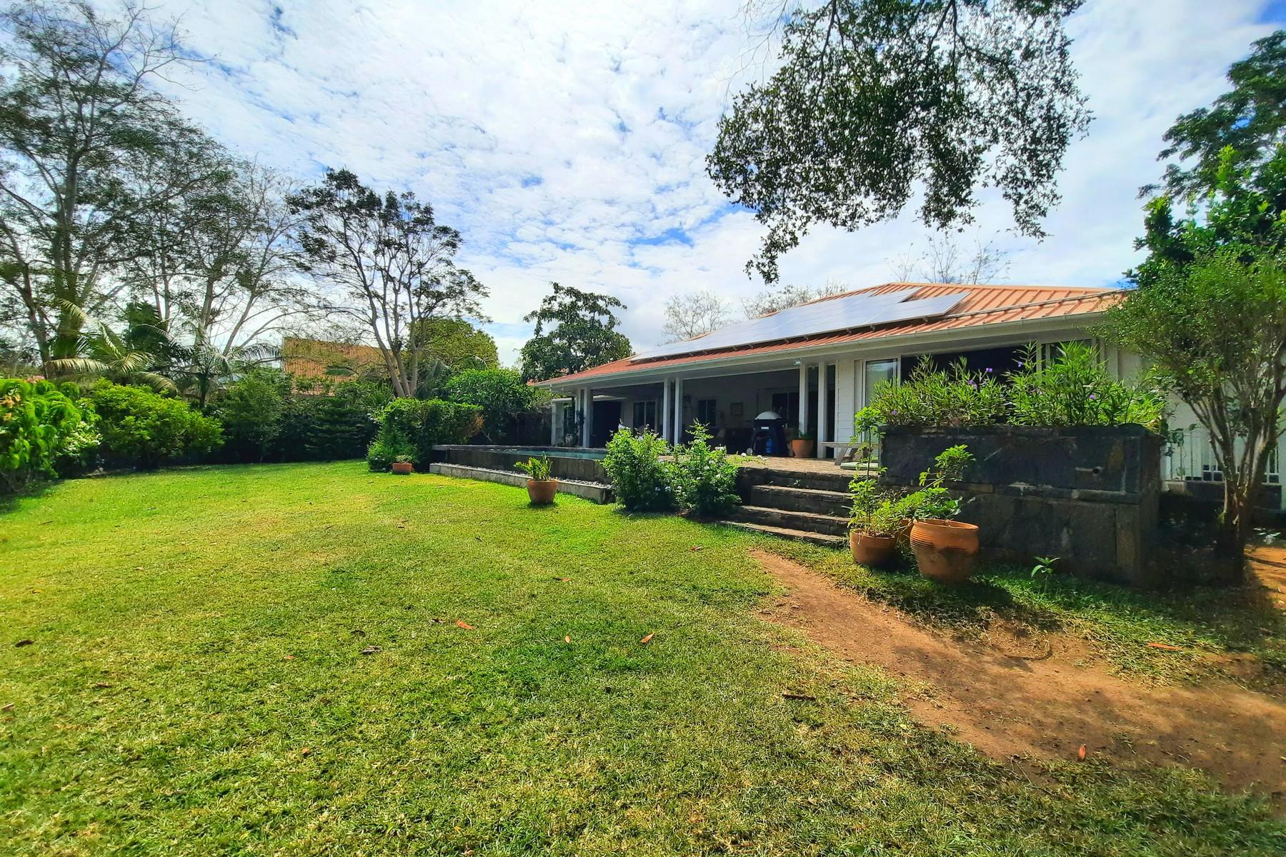 The Green House — 29