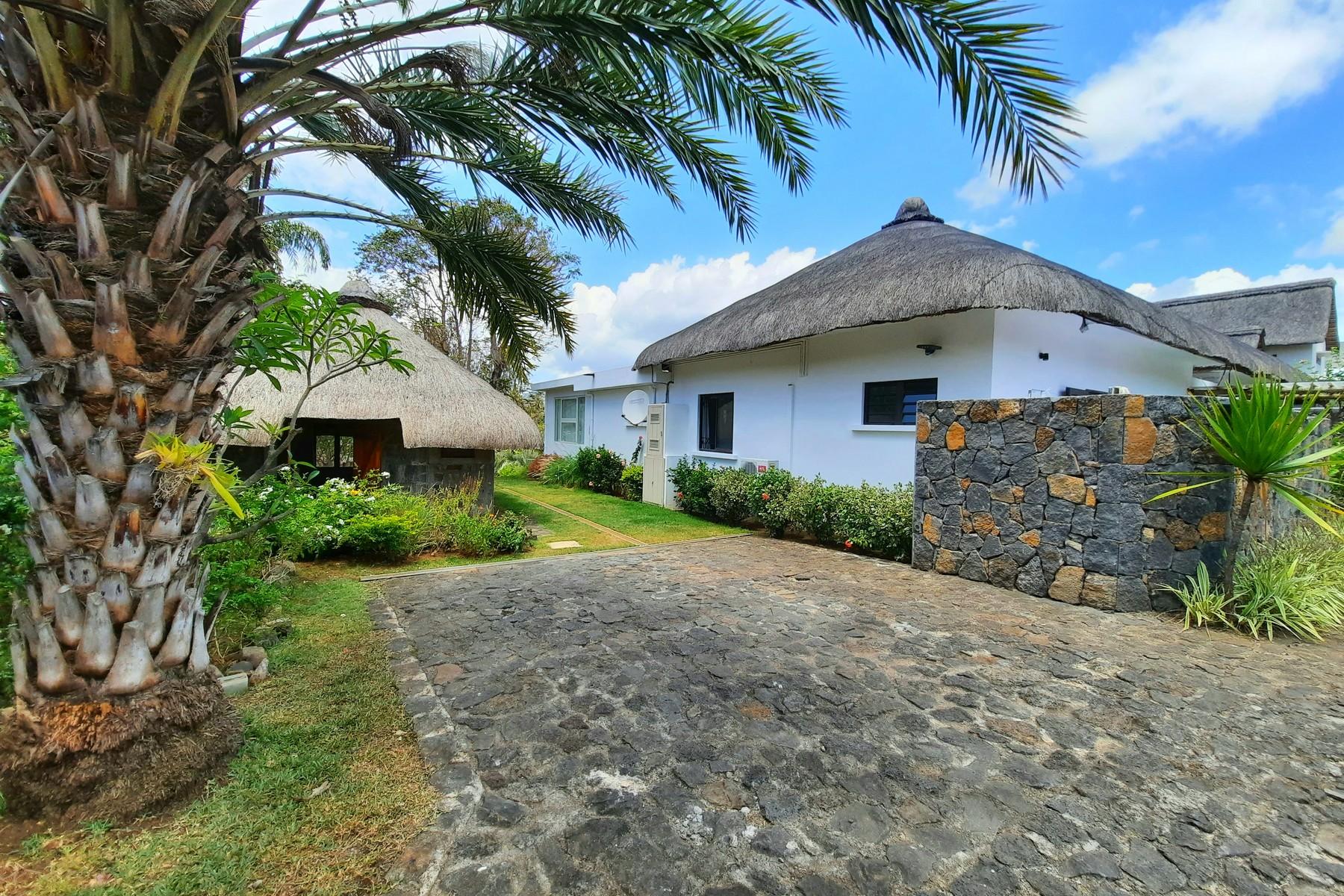 Tropical lifestyle — 26