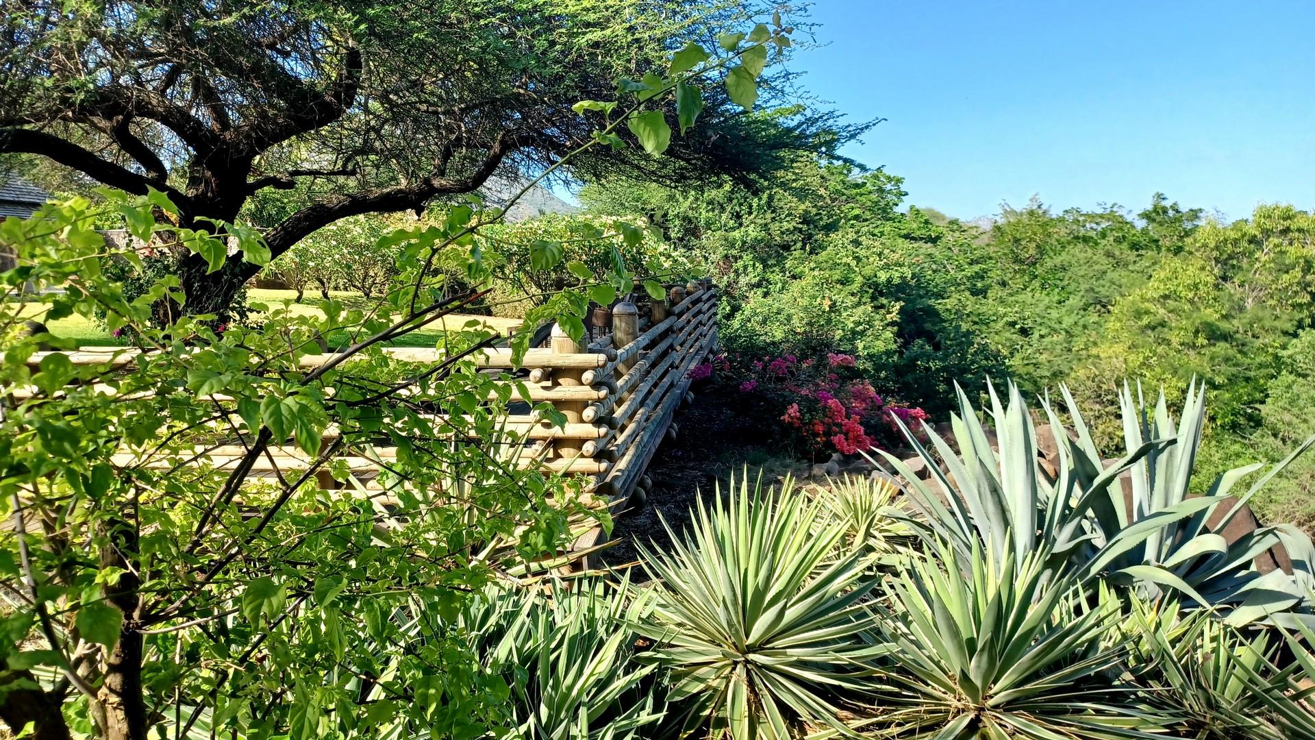 Golf Paradise - Tamarina — 18