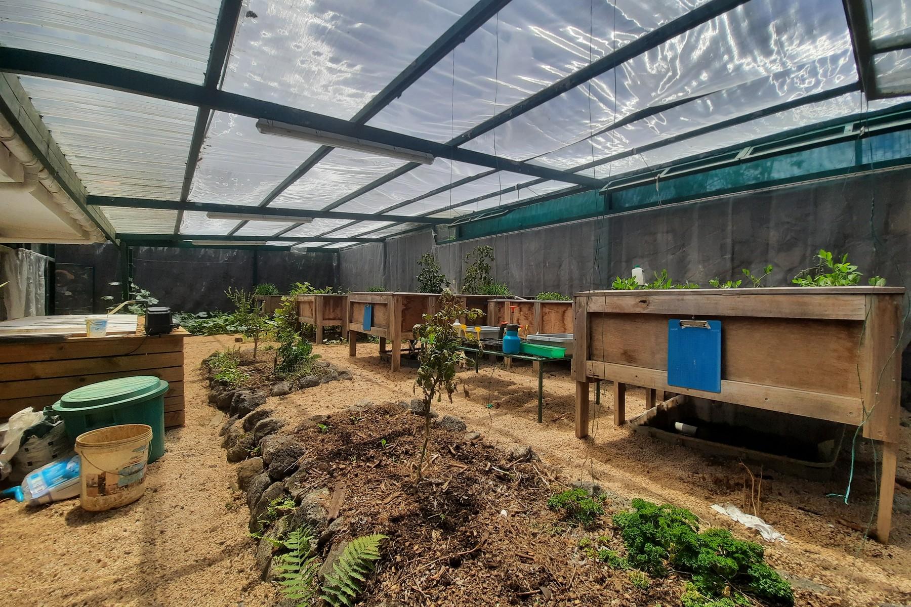 The Green House — 21