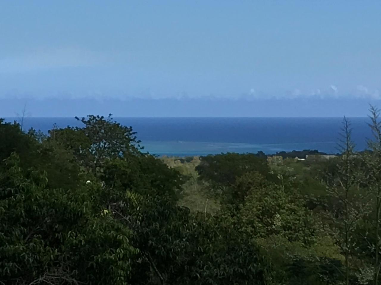 Horizon — 3
