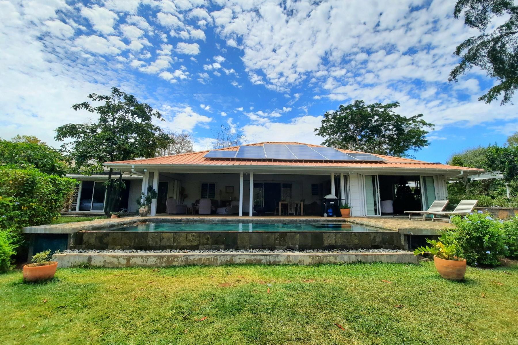 The Green House  — 24